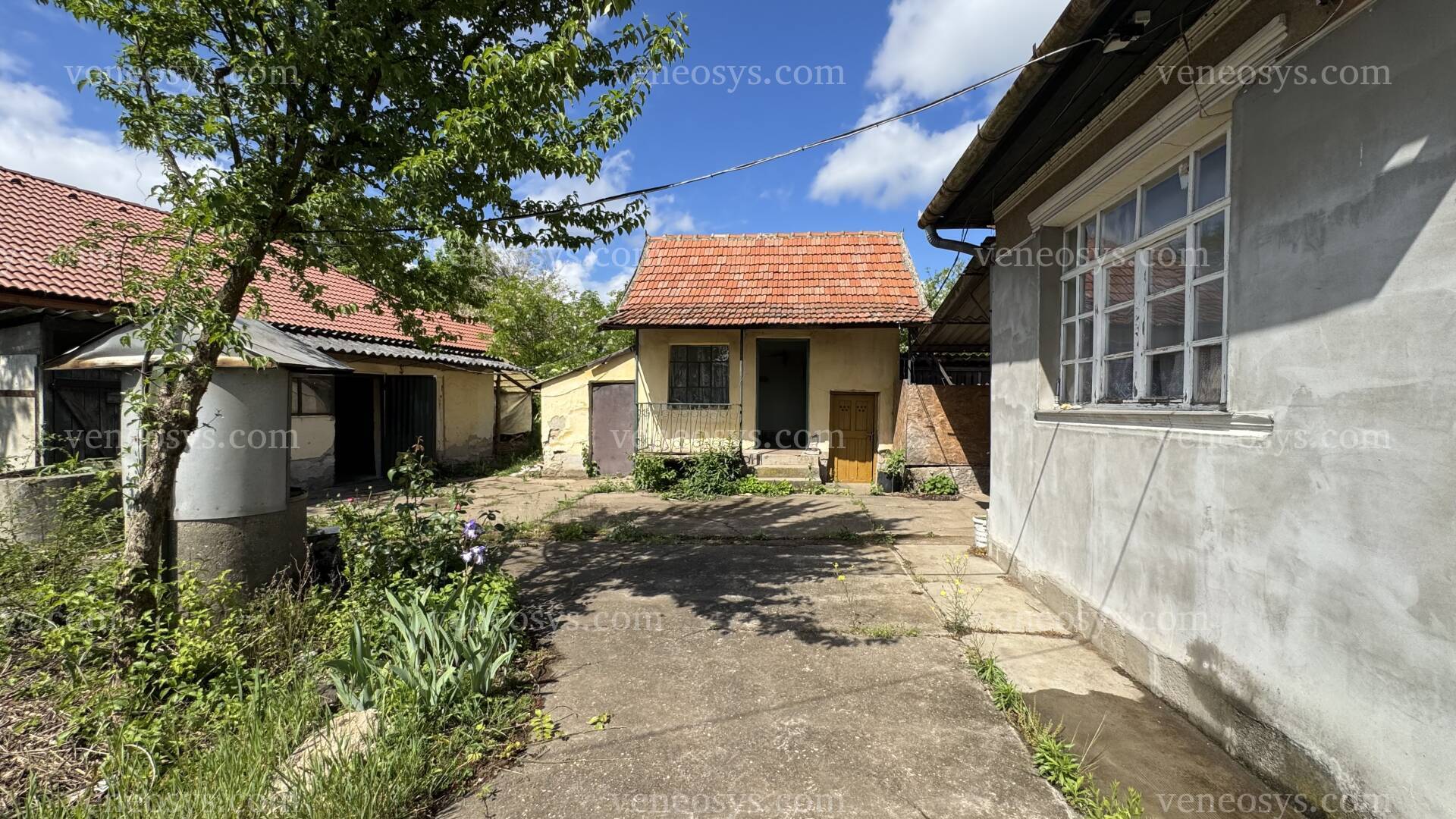 Kép 20