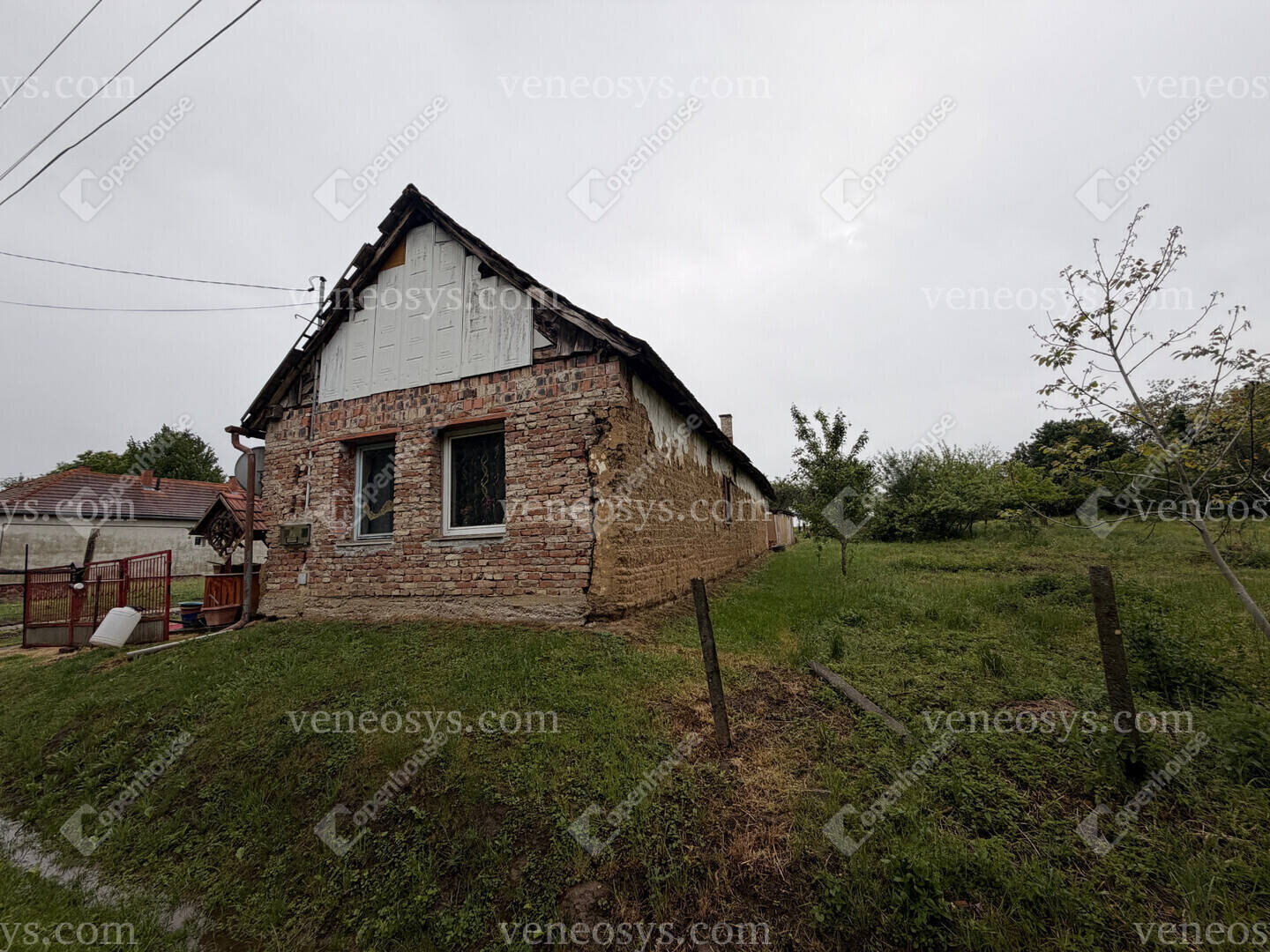 Kép 1