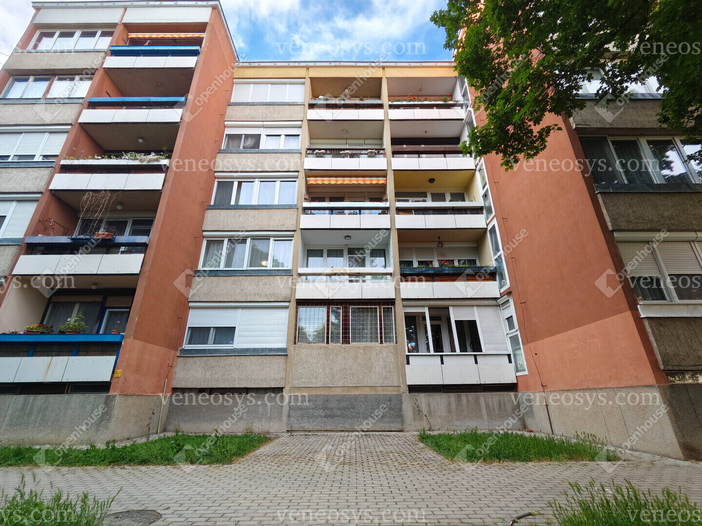 Kép 12