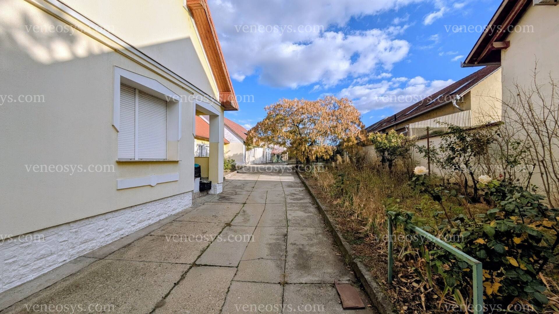 Kép 5