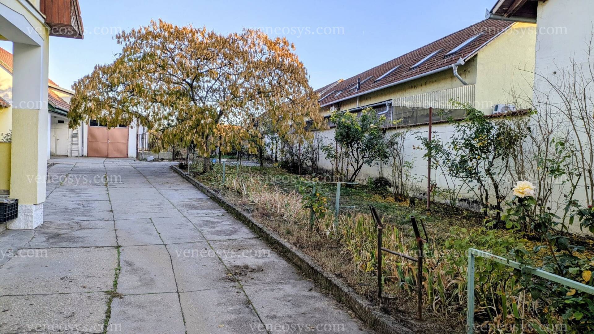 Kép 19