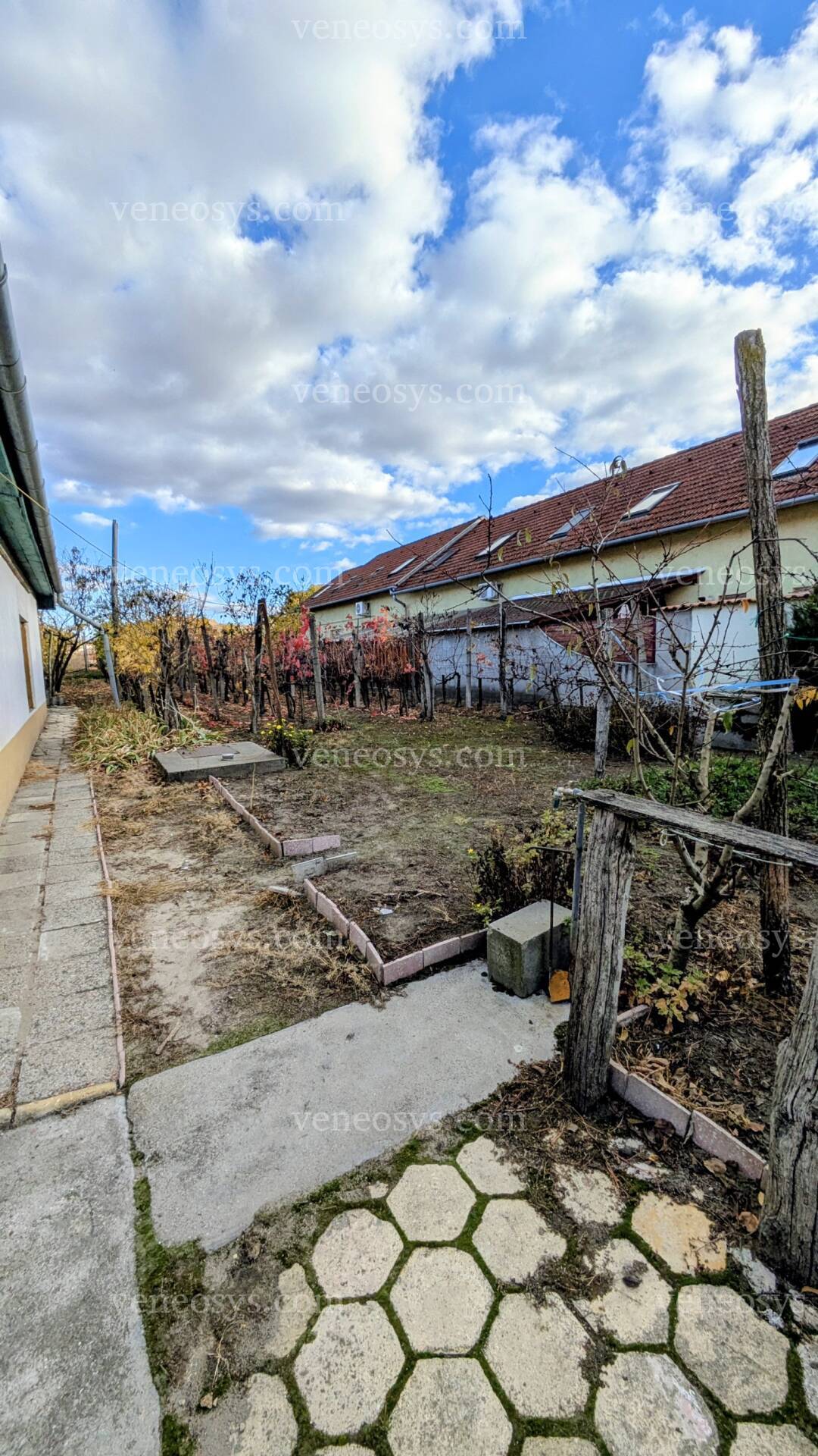 Kép 15