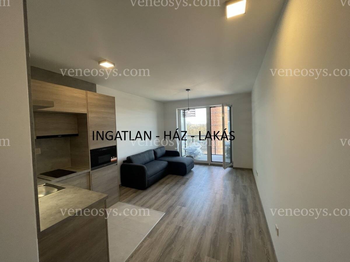 Kép 12