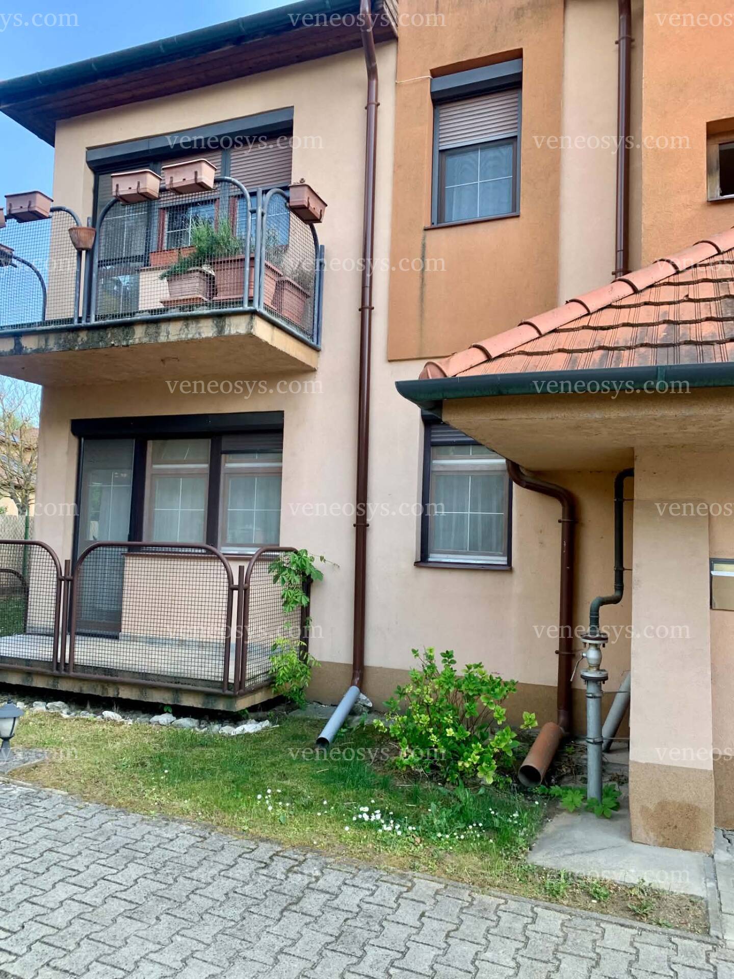 Kép 10