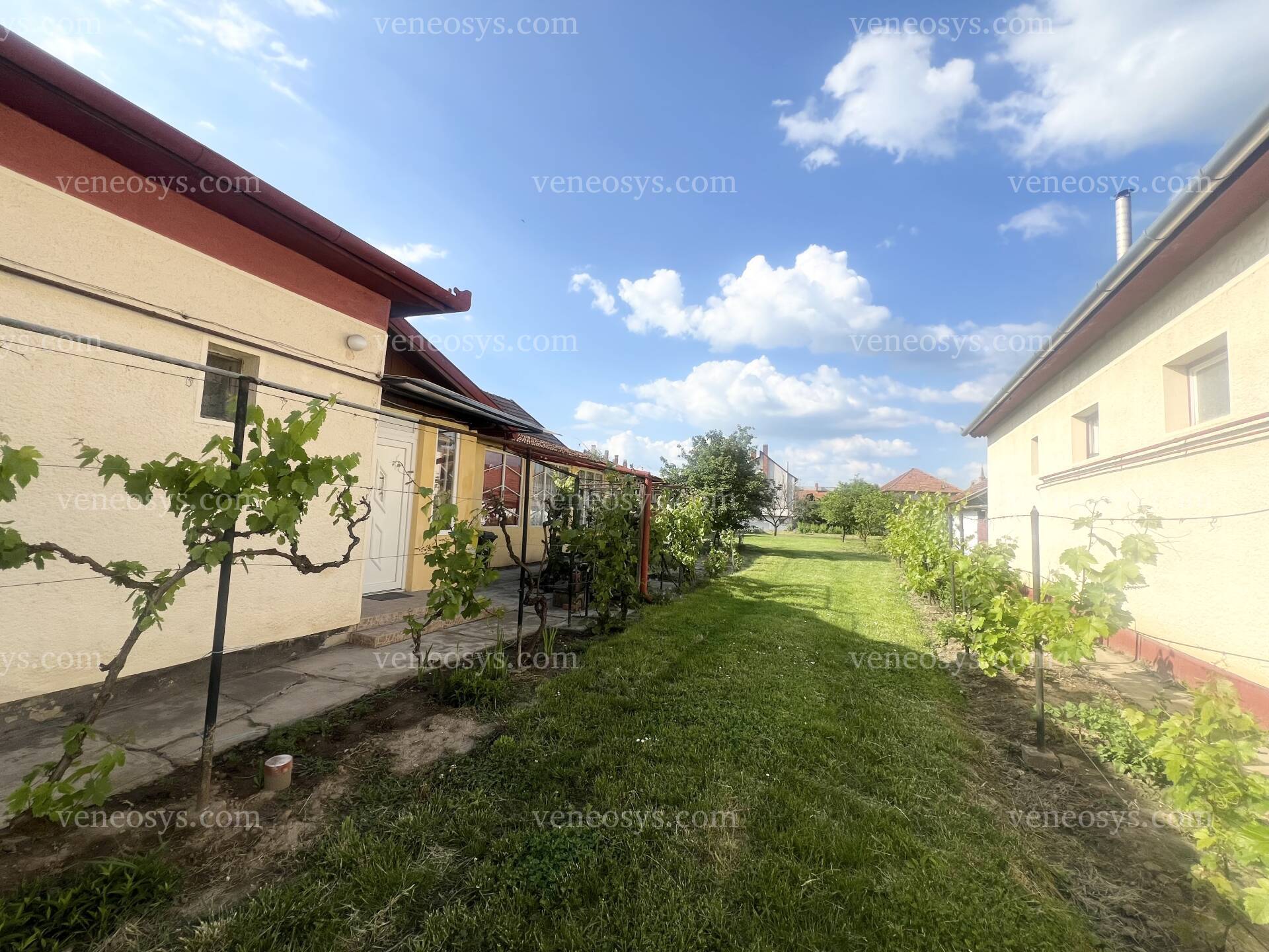 Kép 18