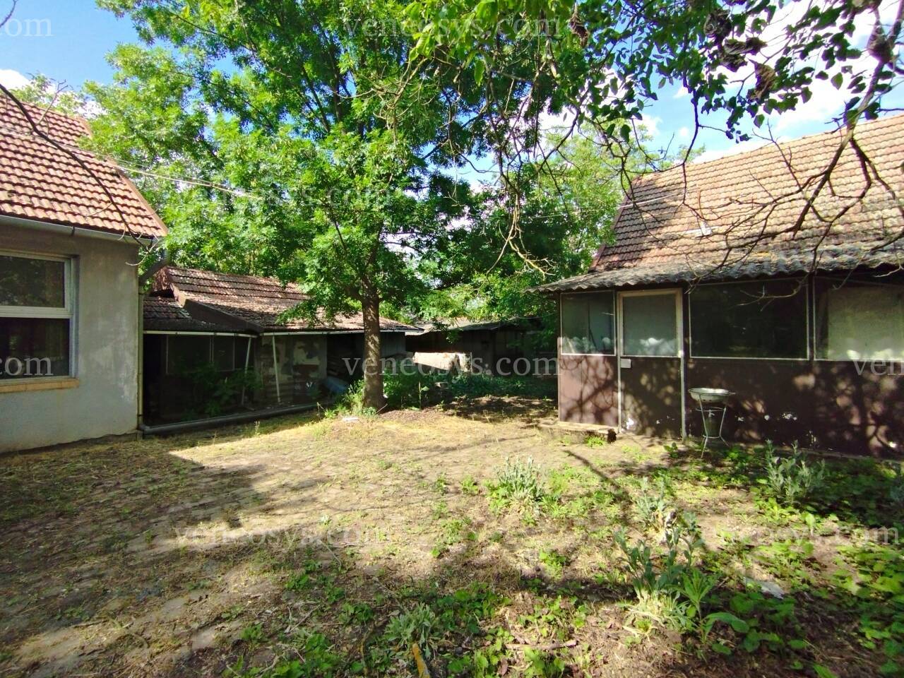 Kép 19
