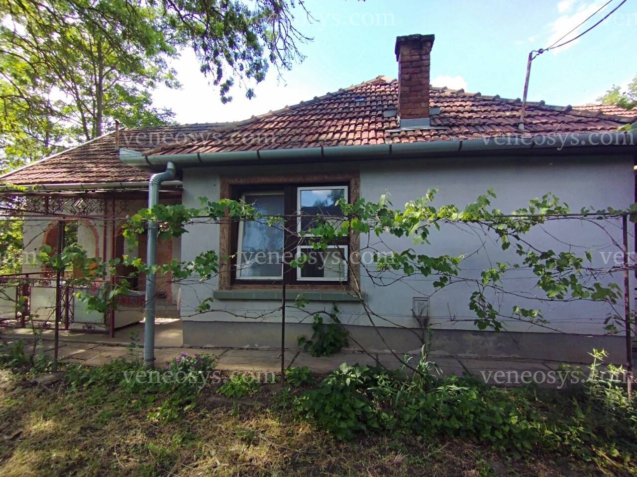 Kép 5