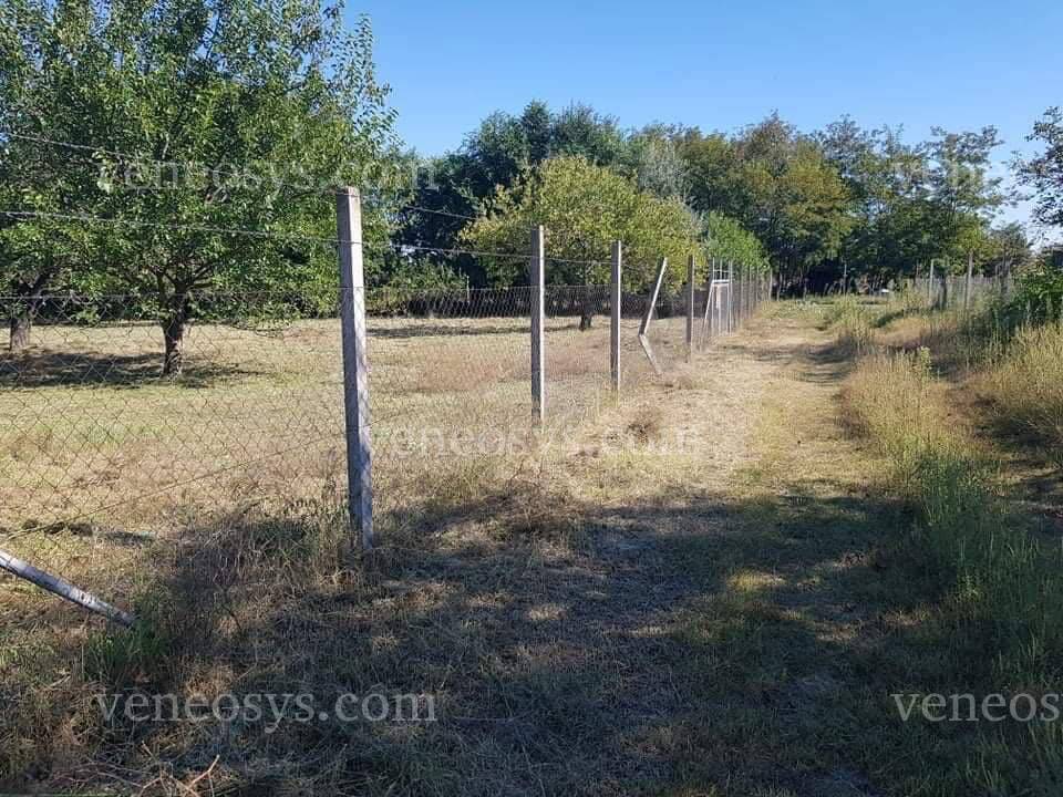 Kép 4