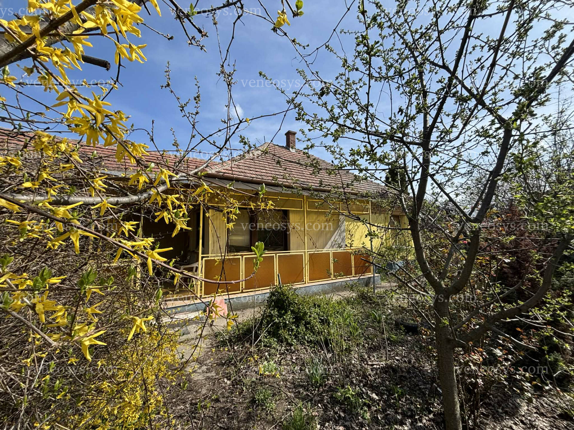 Kép 21