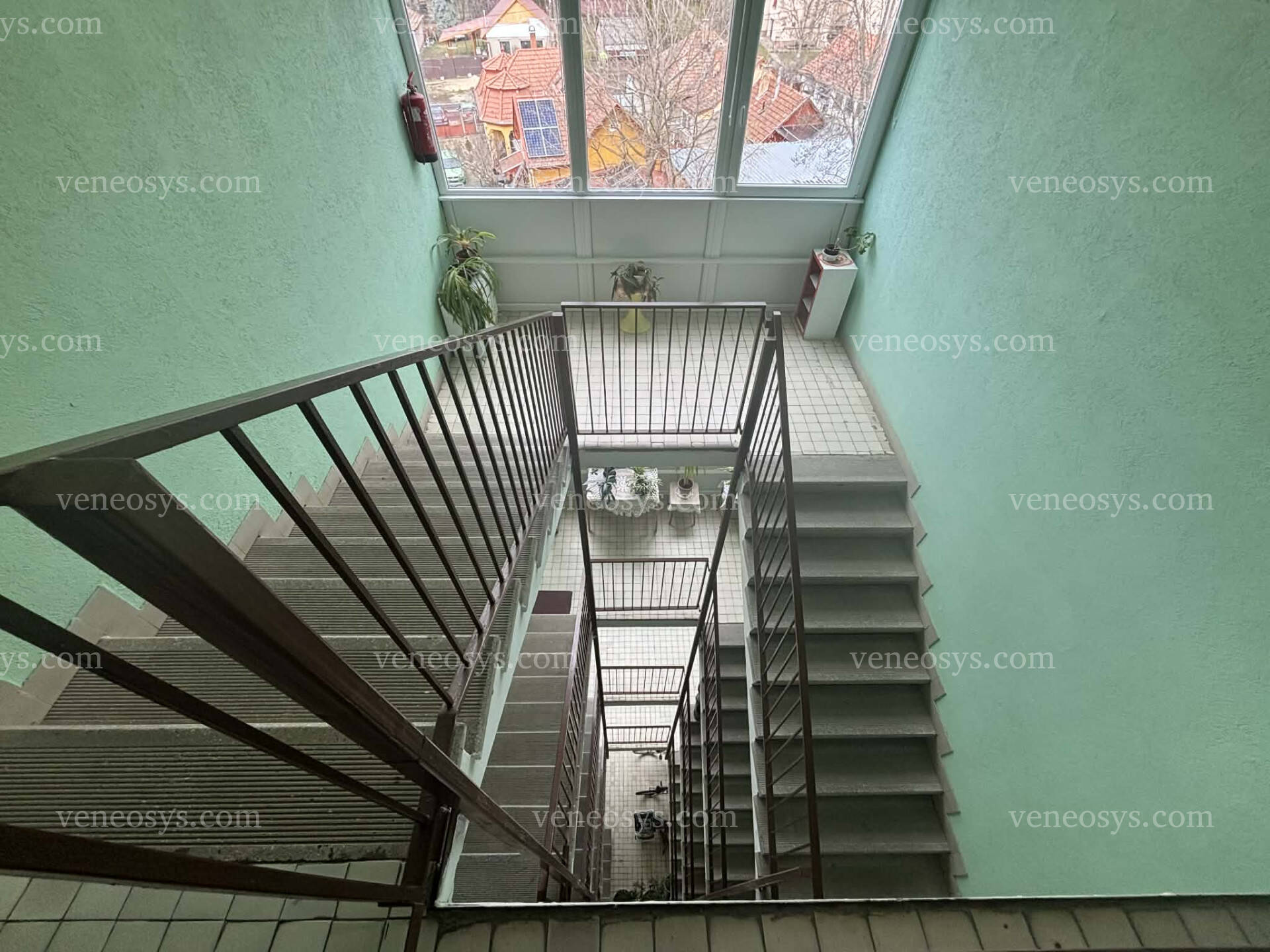 Kép 12