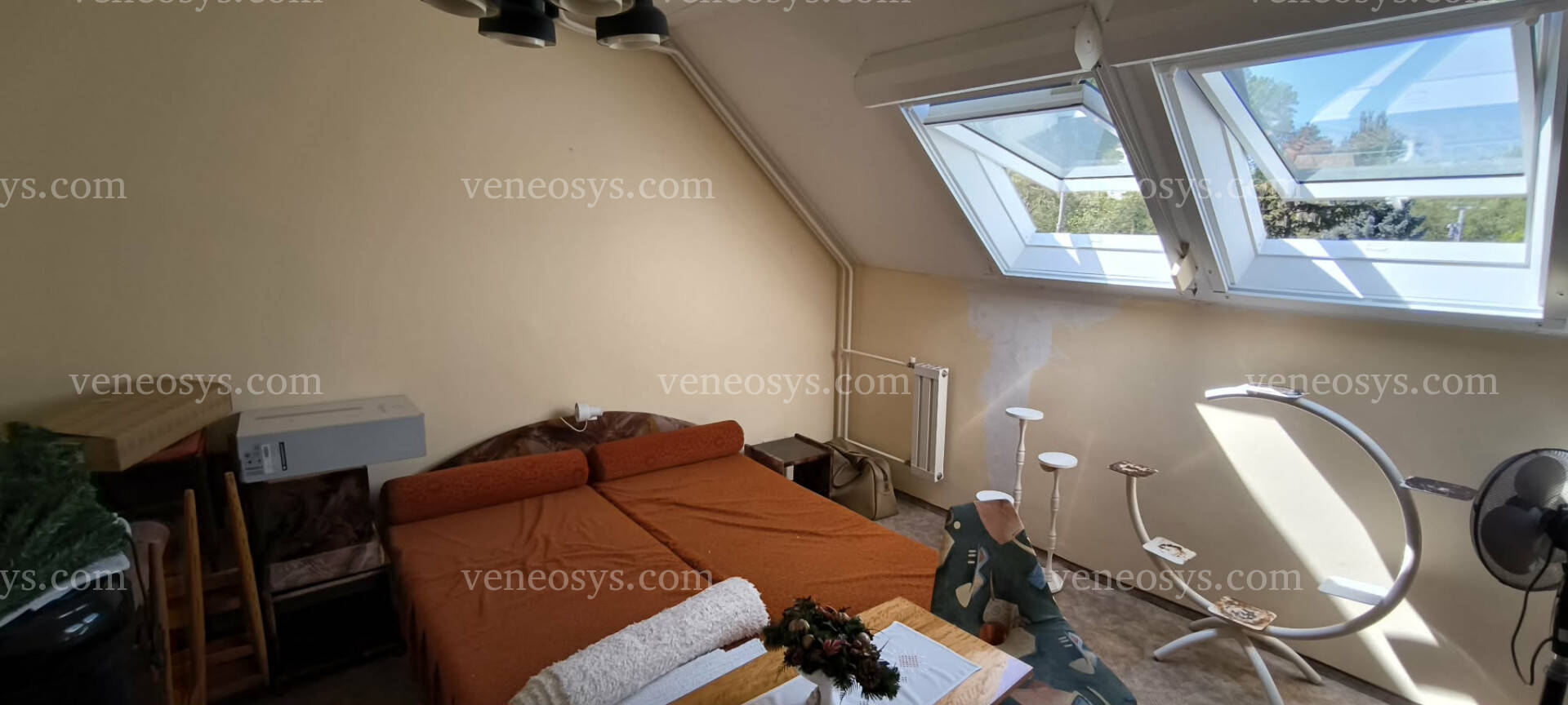 Kép 5