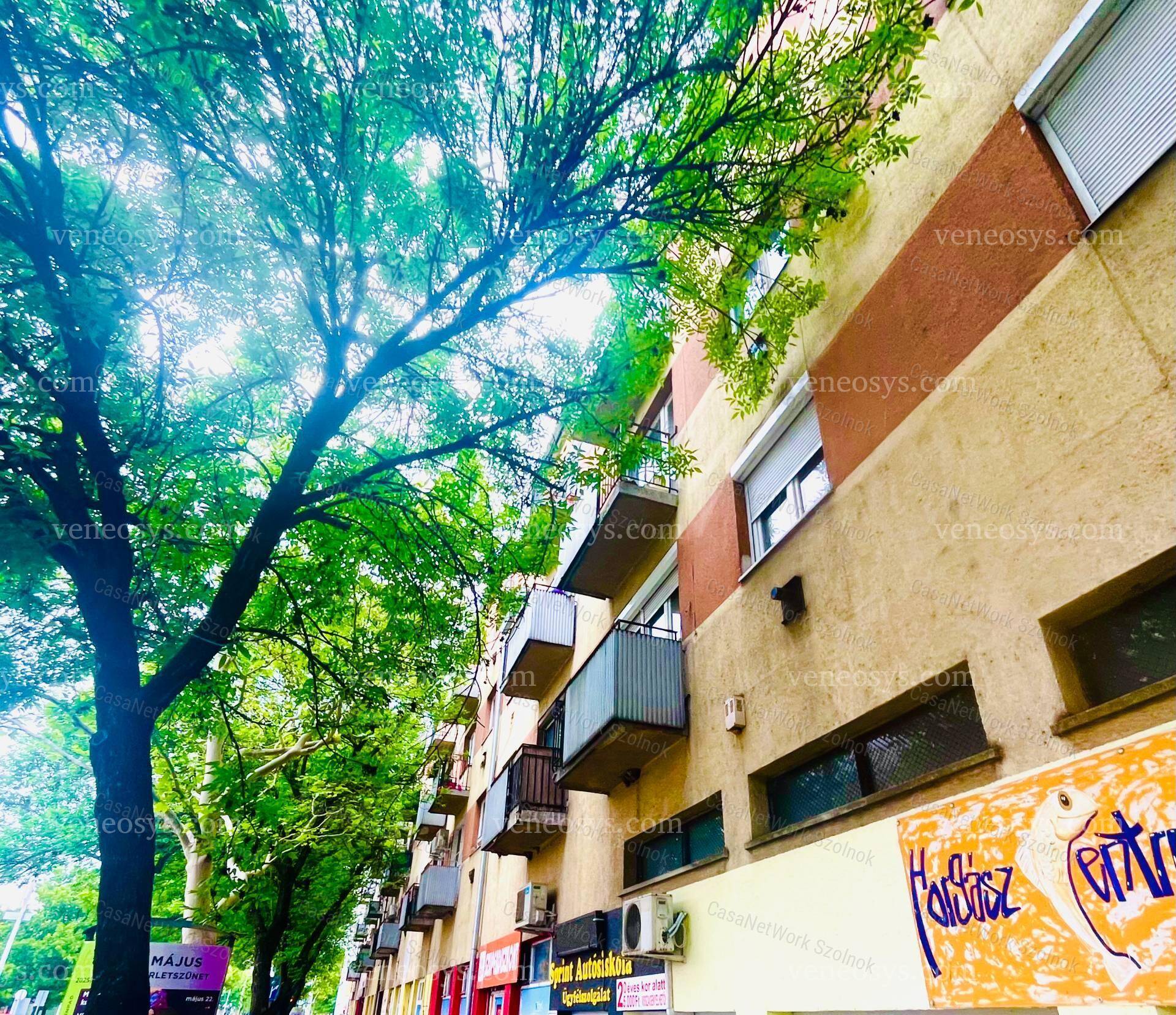 Kép 4