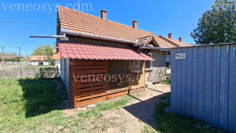 Kép 10