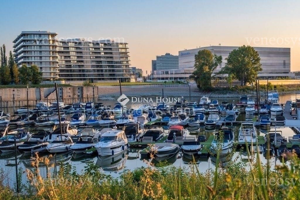 Kép 13