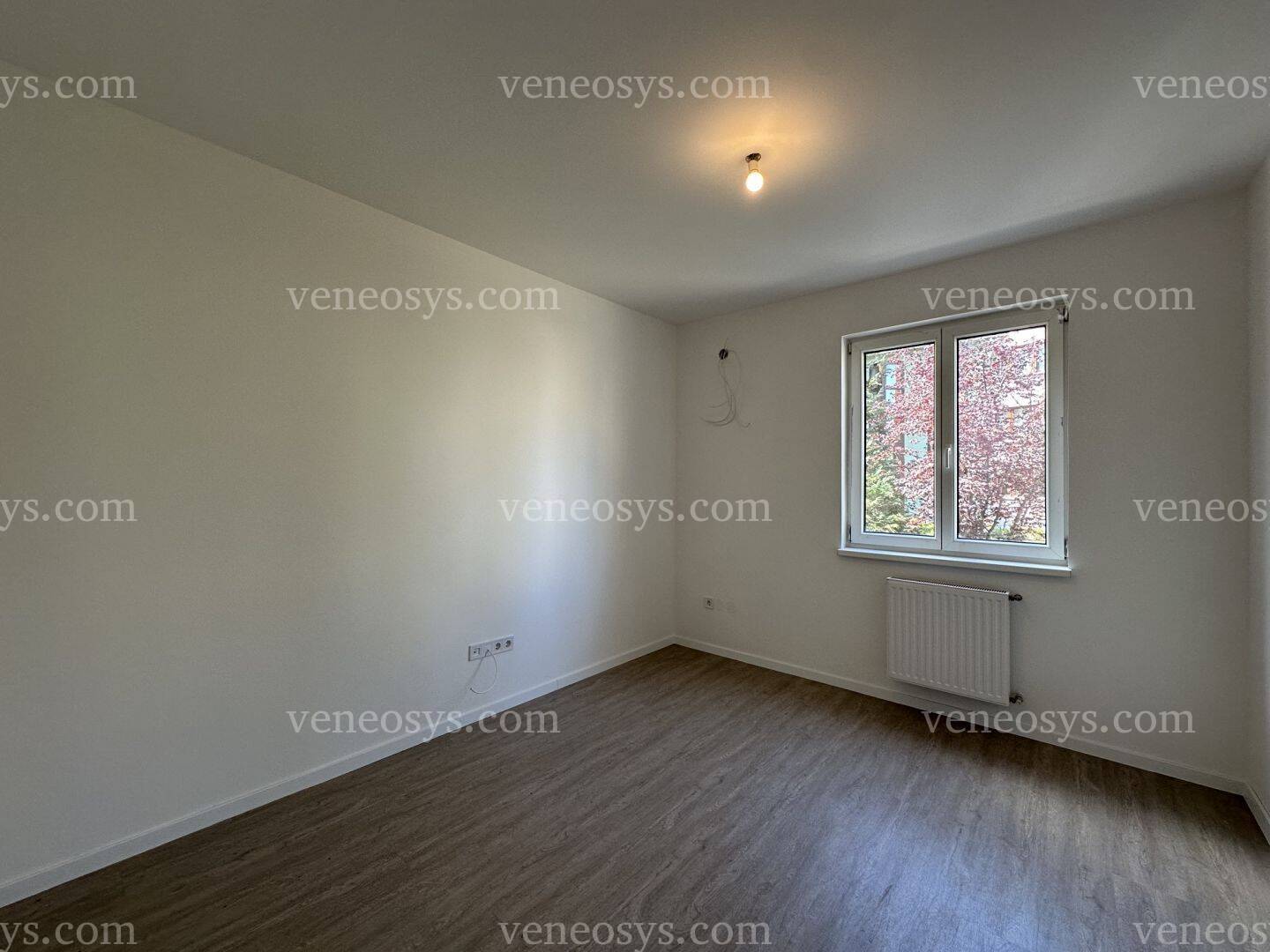 Kép 19