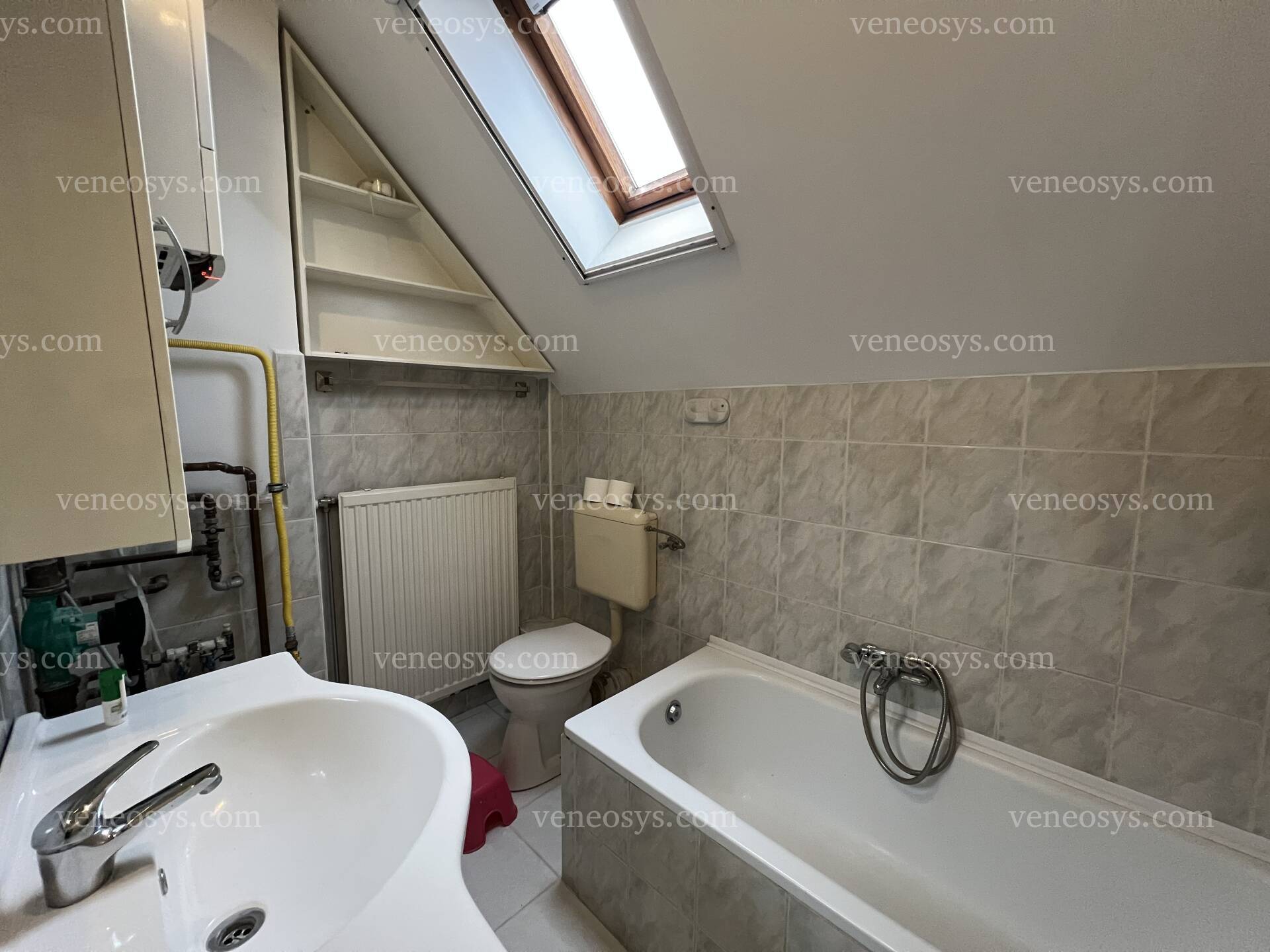Kép 12