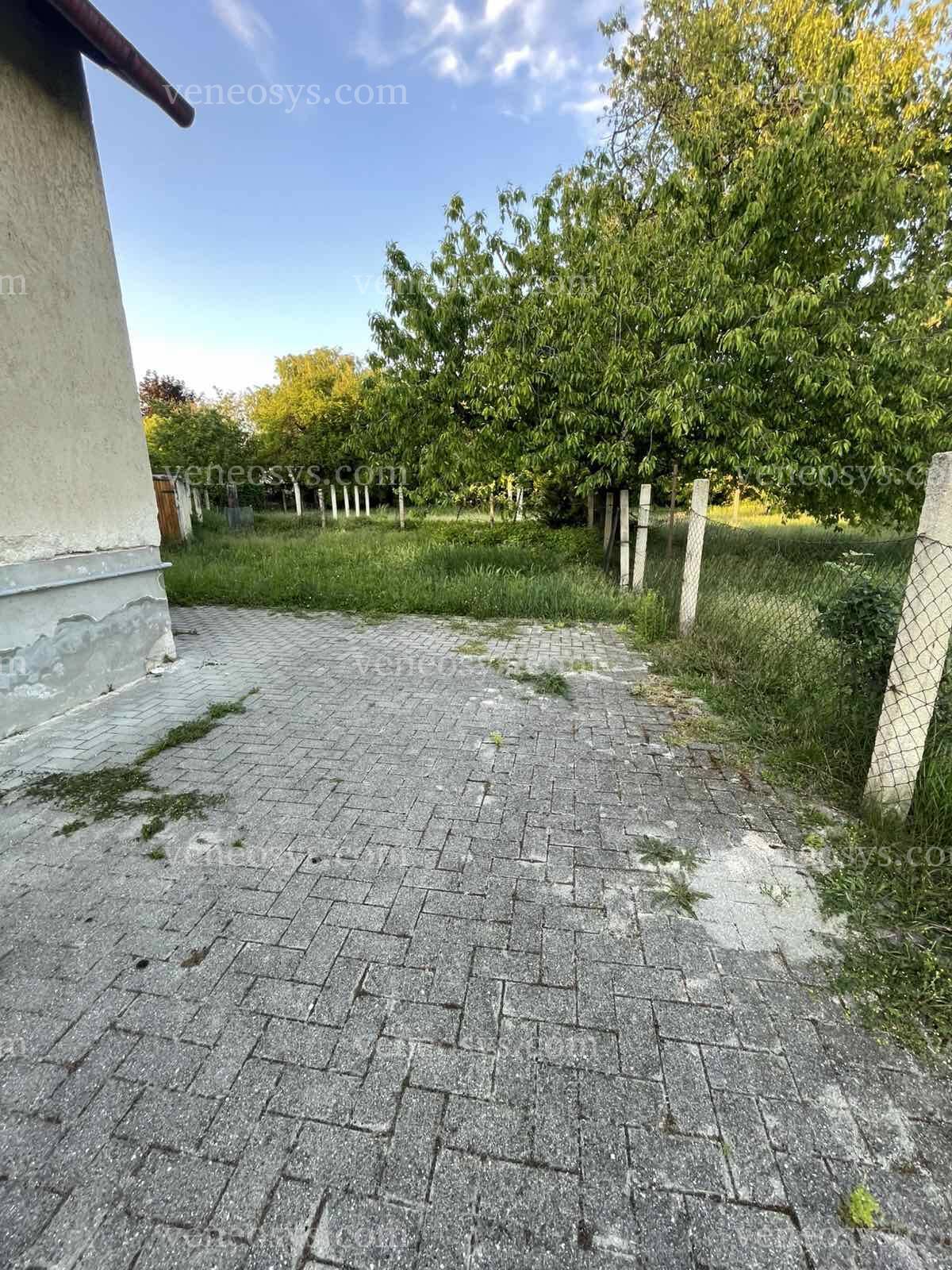 Kép 10