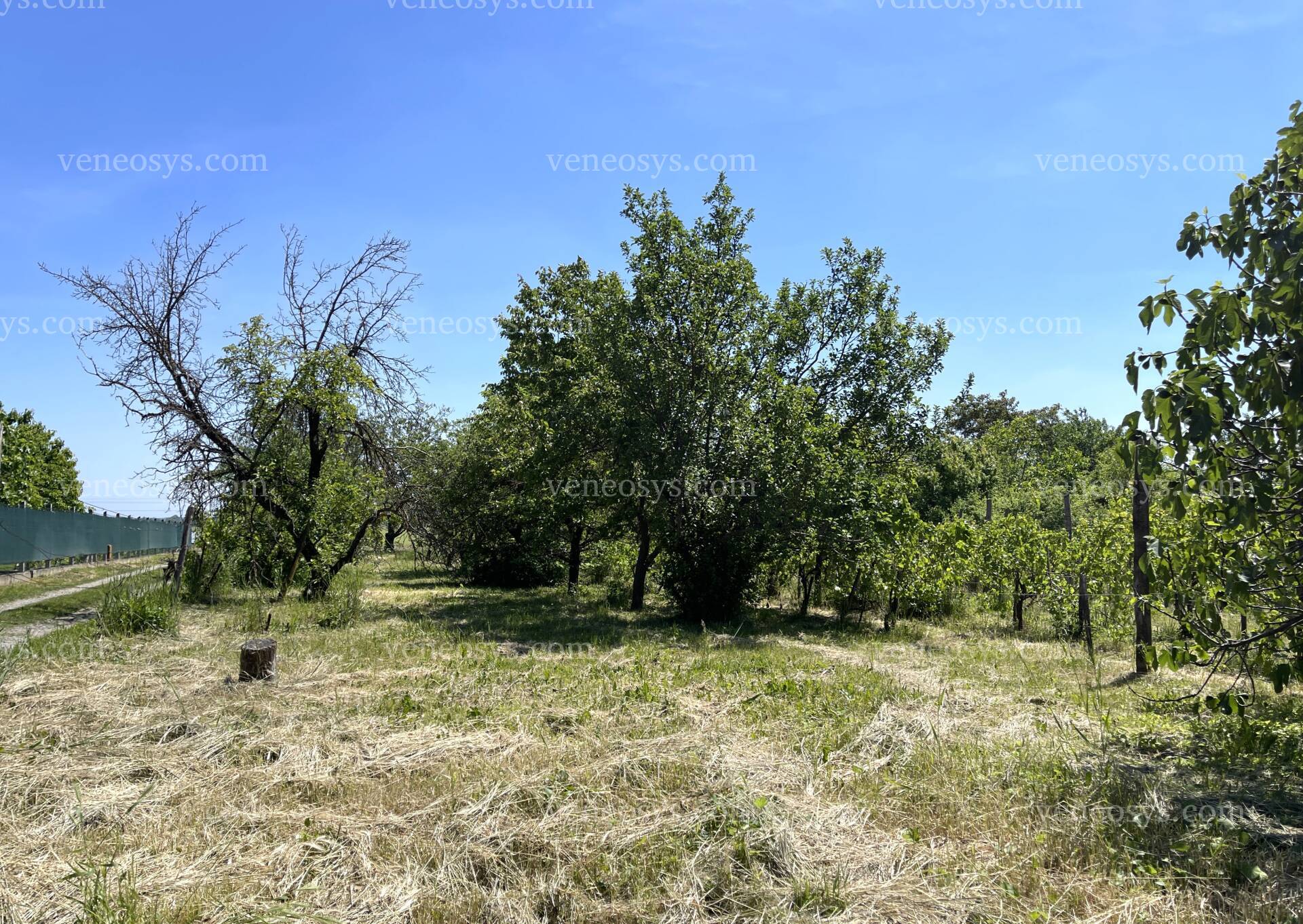 Kép 17