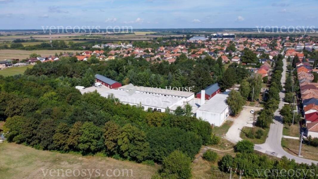 Kép 1
