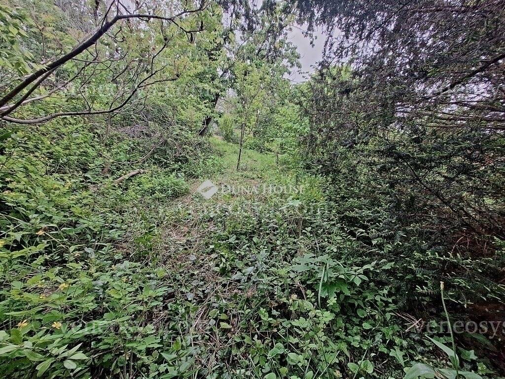 Kép 8