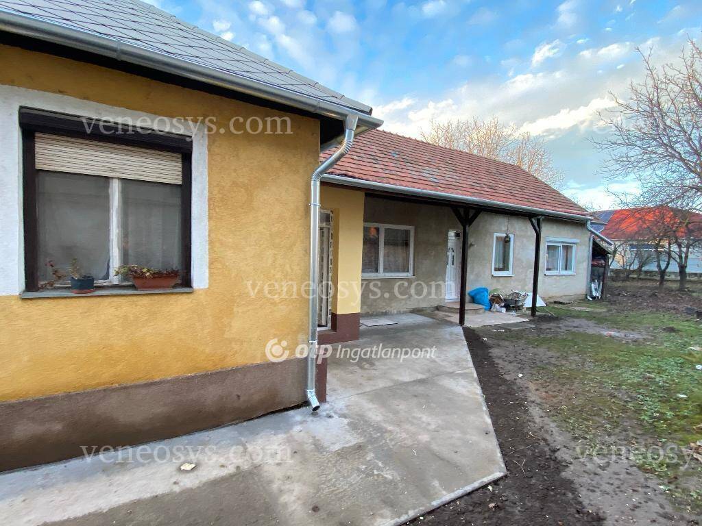 Kép 5