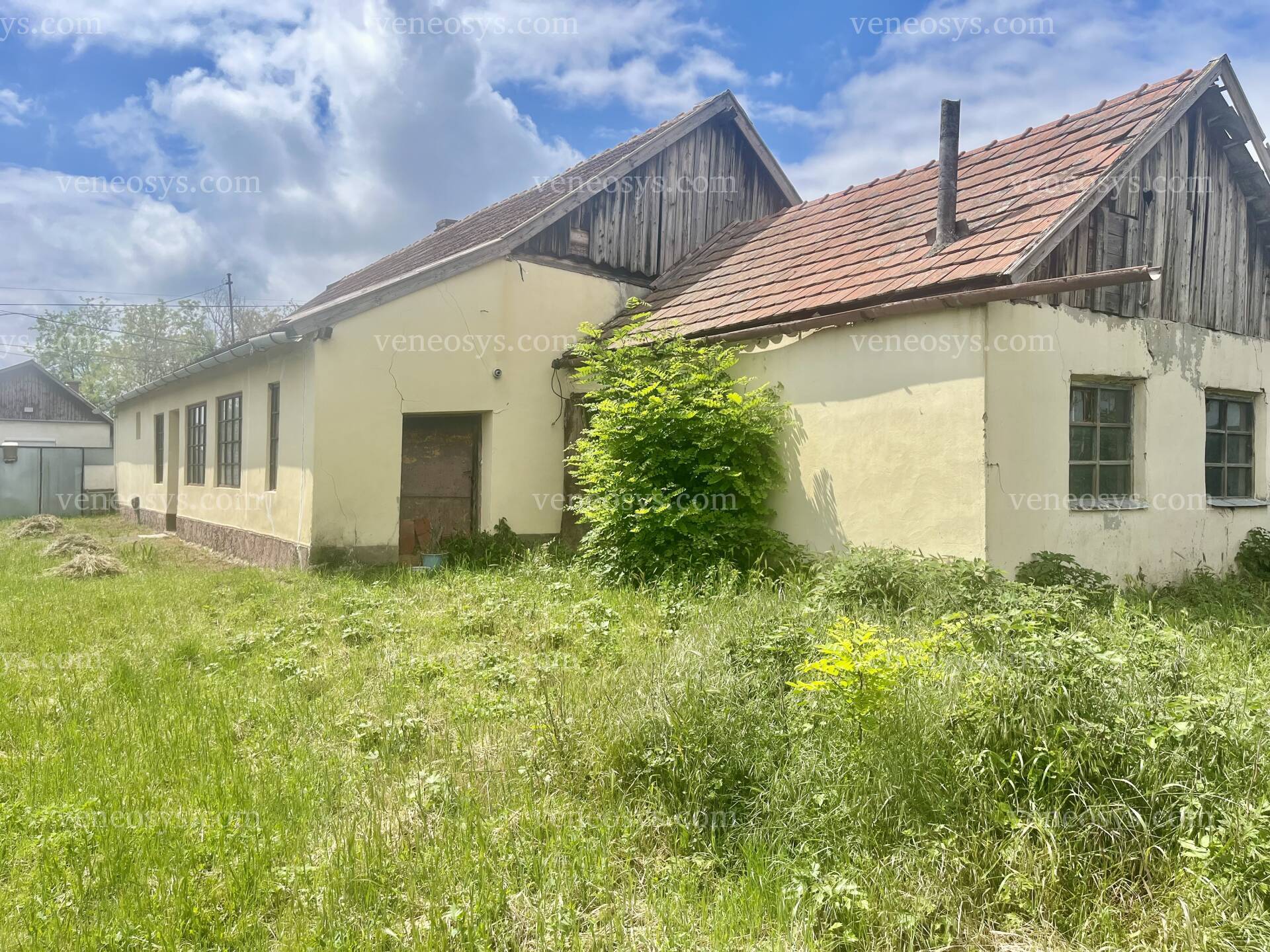 Kép 12