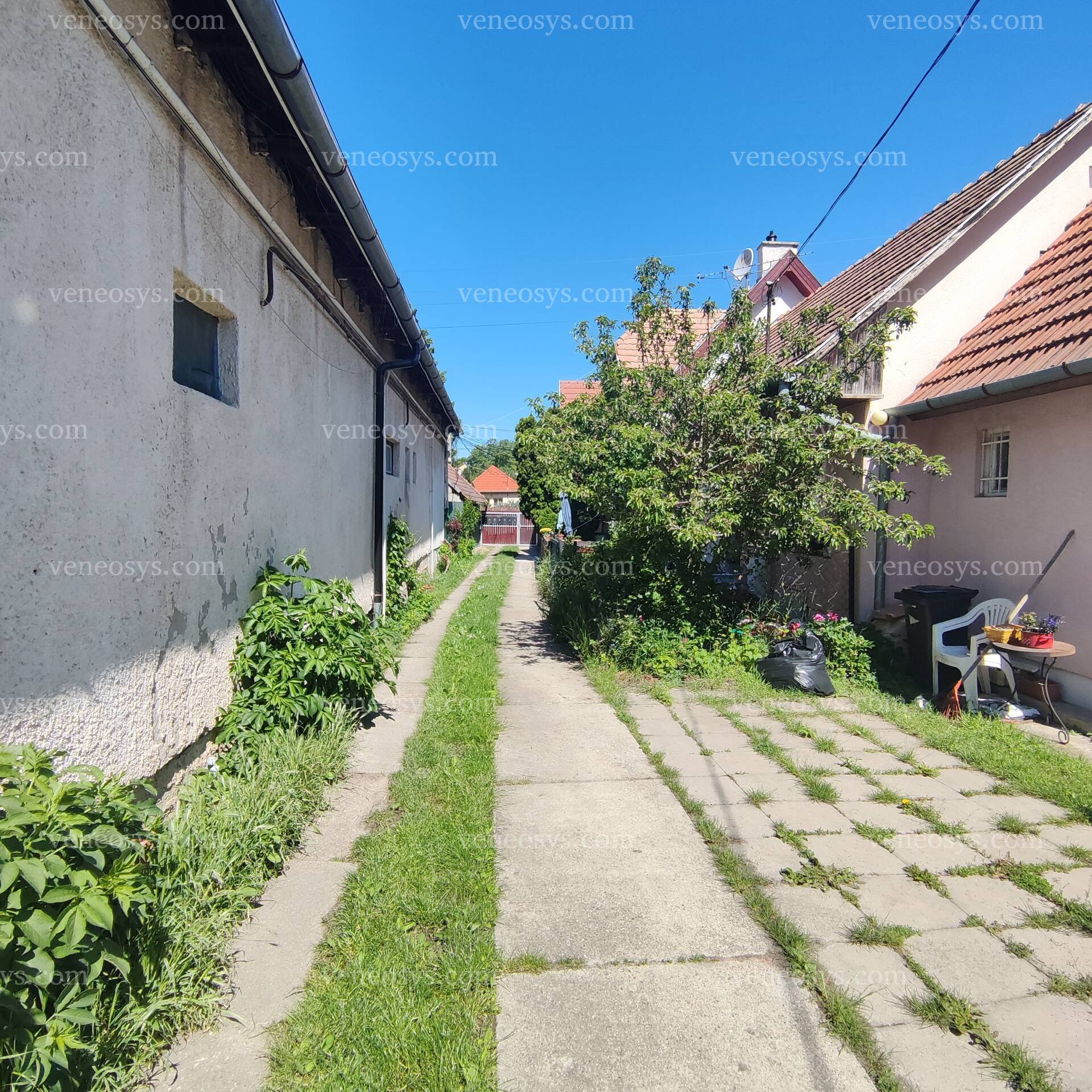Kép 11