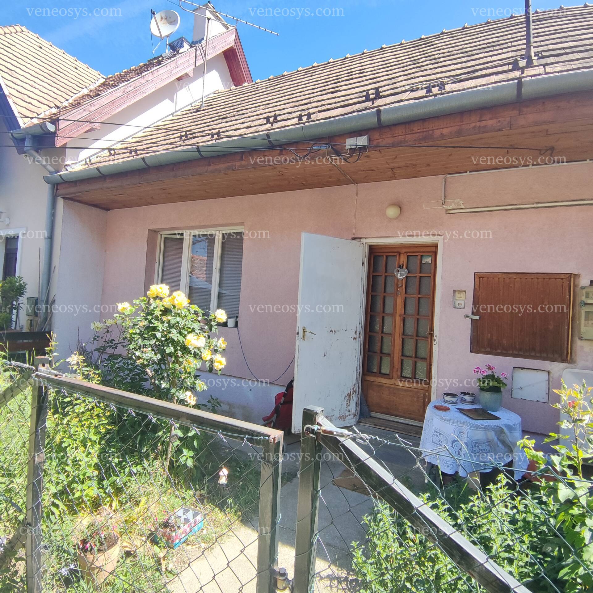 Kép 12