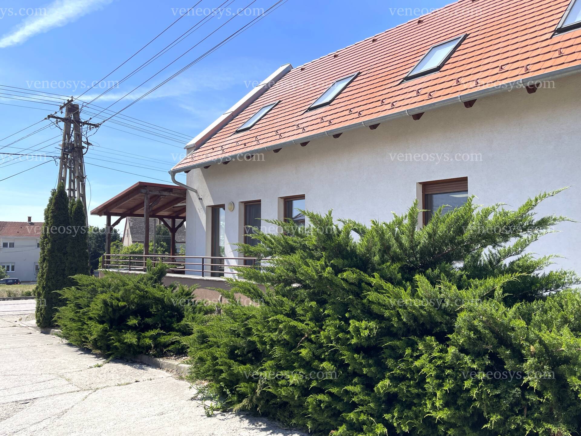 Kép 62