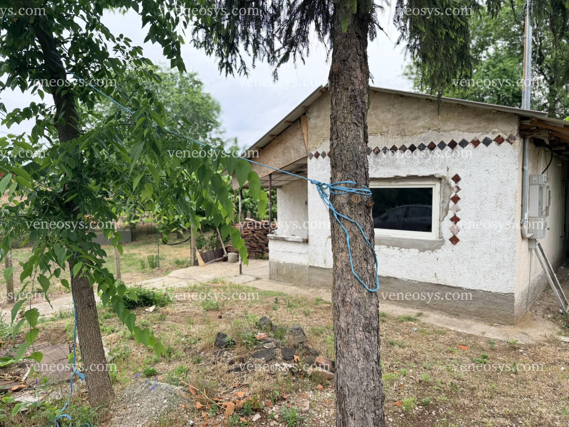 Kép 1