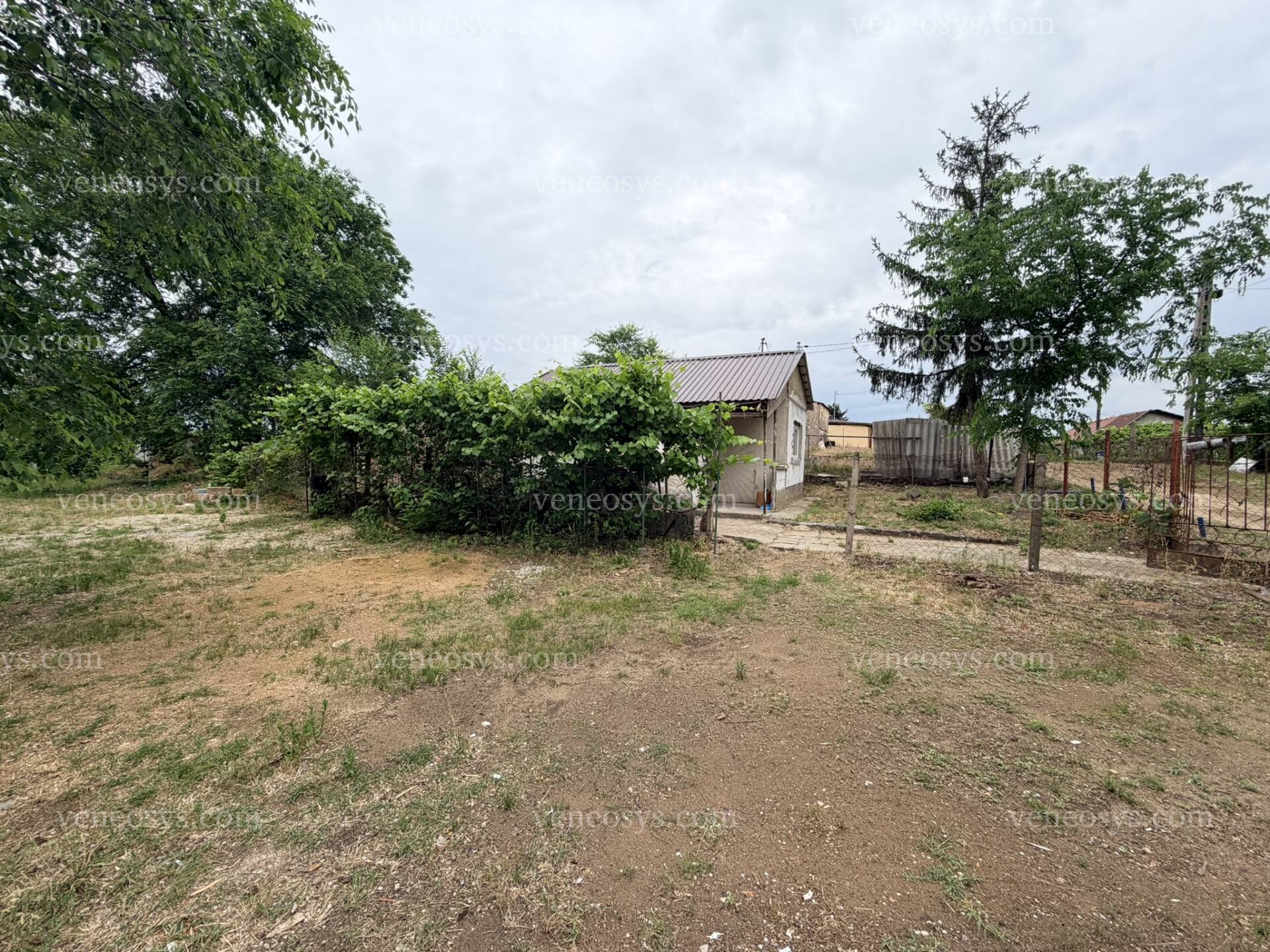 Kép 10