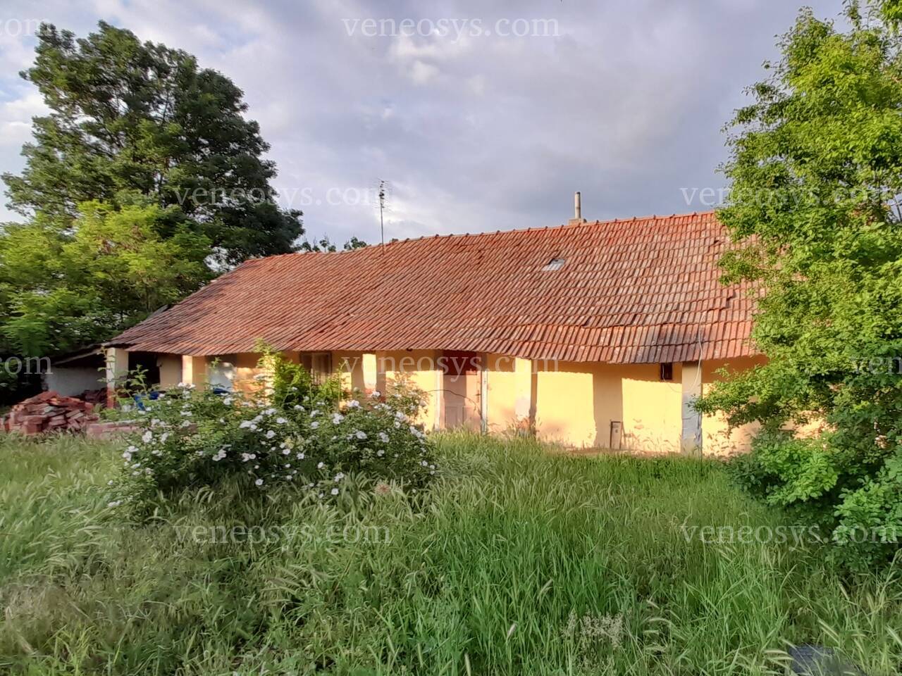 Kép 5