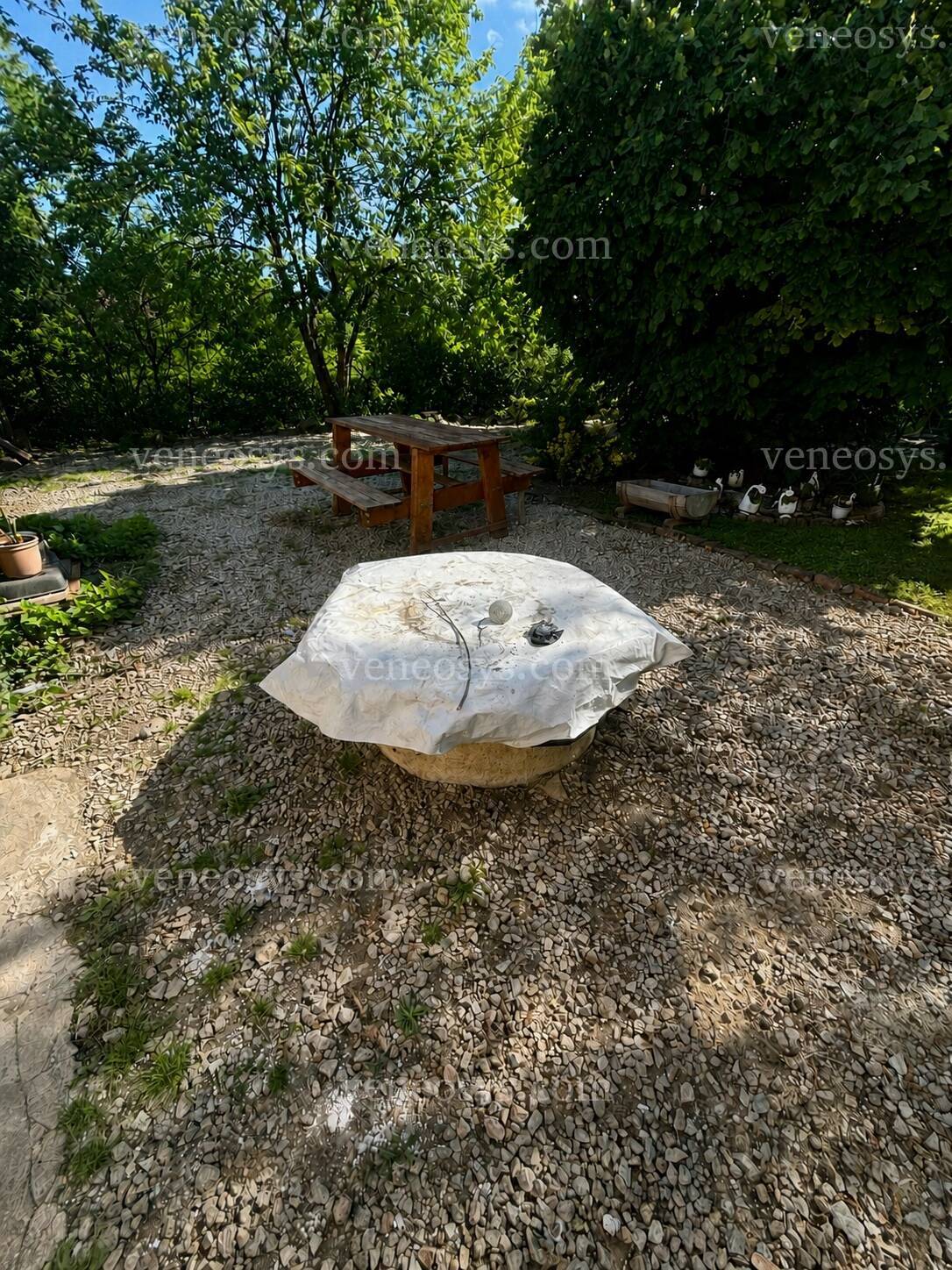 Kép 7