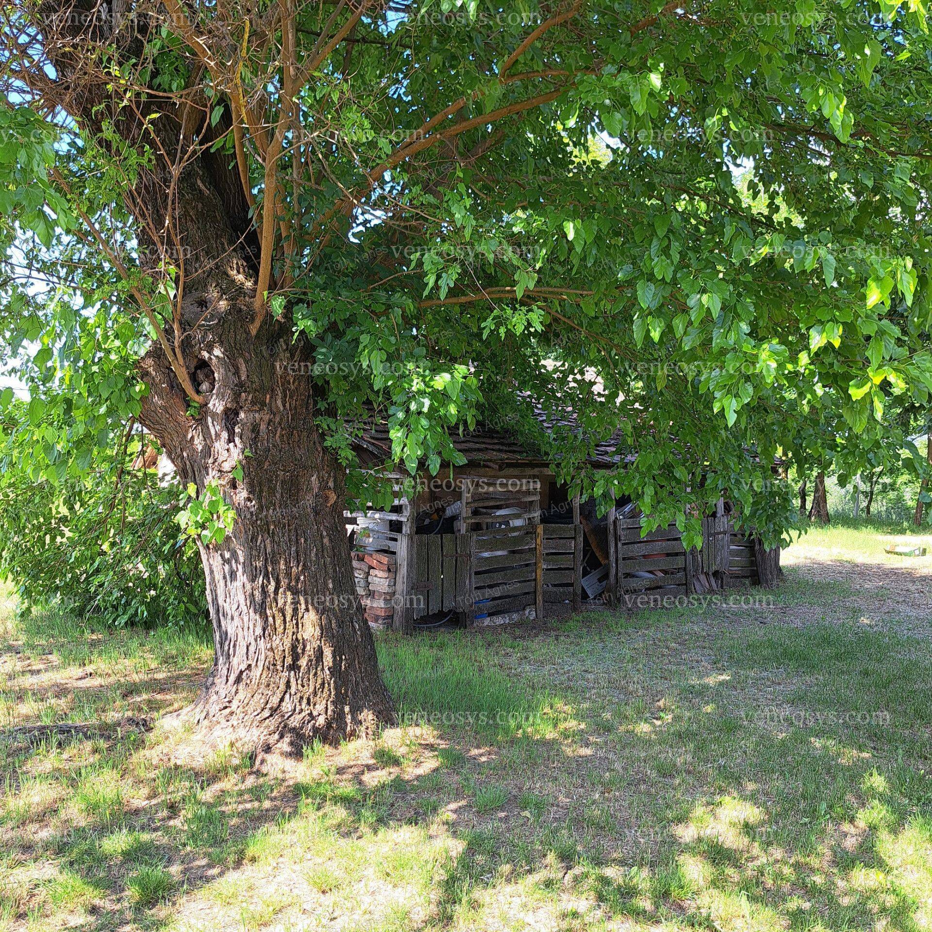 Kép 12