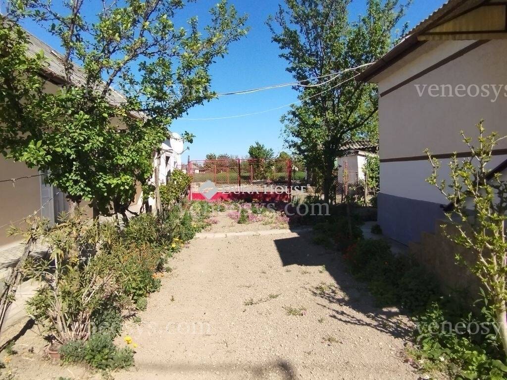 Kép 5