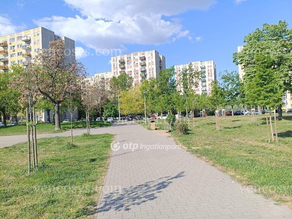 Kép 9