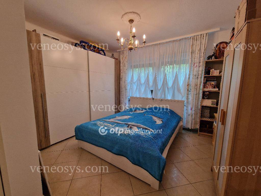 Kép 6