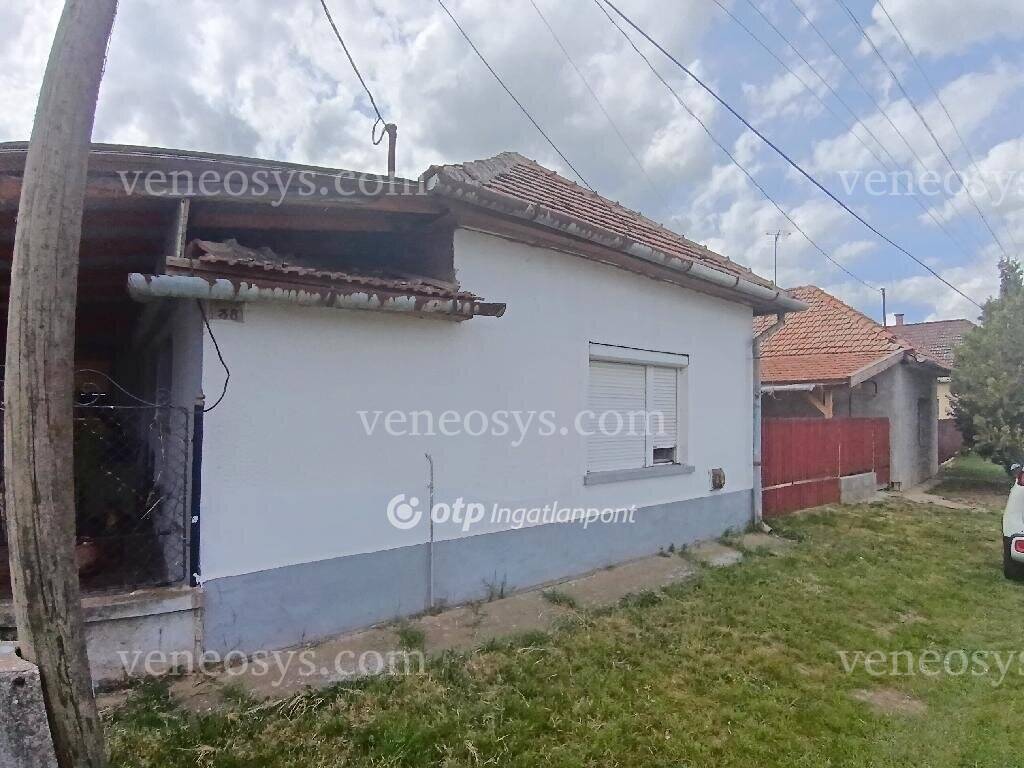 Kép 5