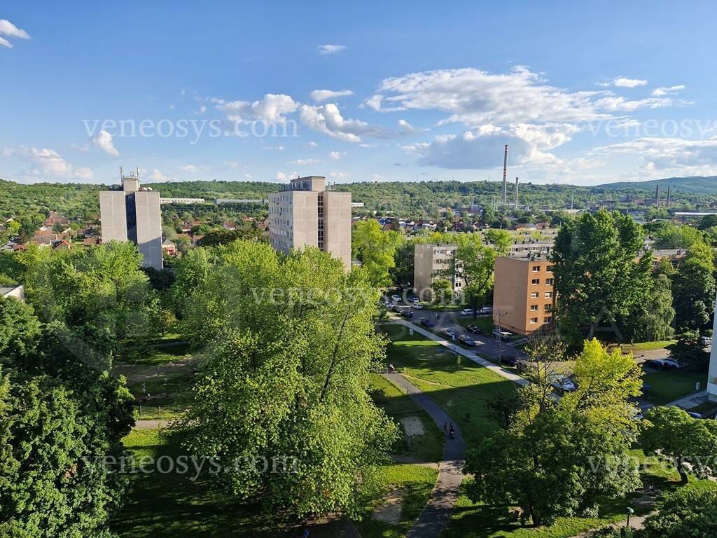 Kép 12