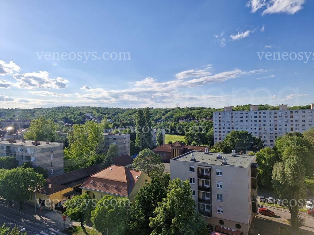 Kép 15