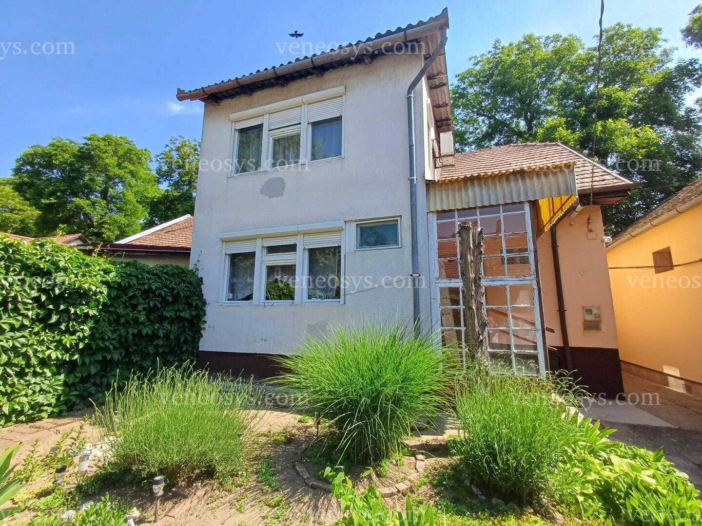 Kép 12