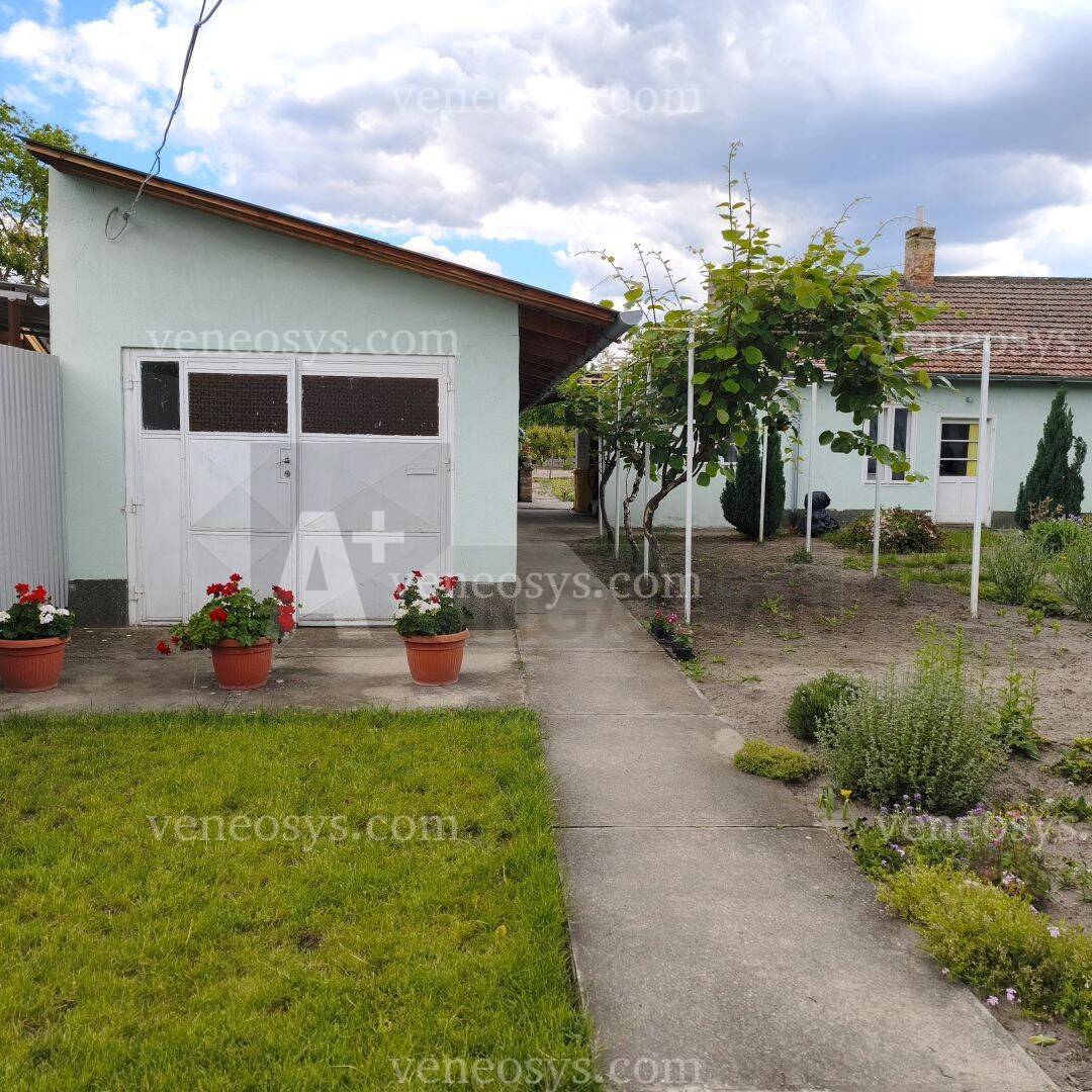 Kép 15