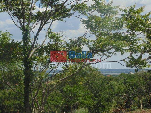 Ingatlan