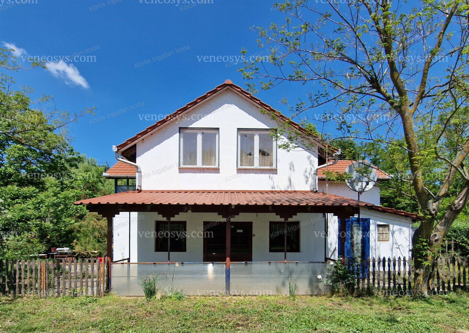 Kép 5