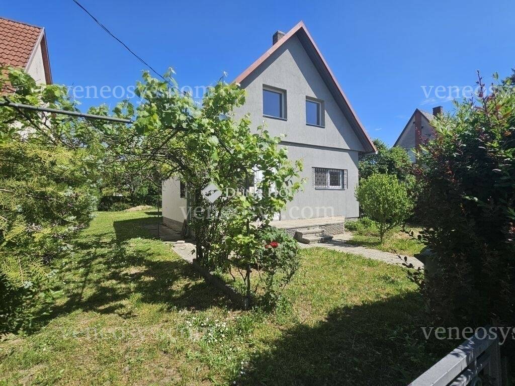 Kép 19