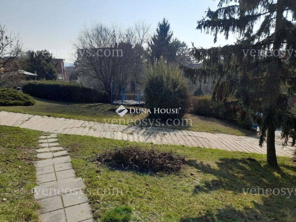 Kép 10