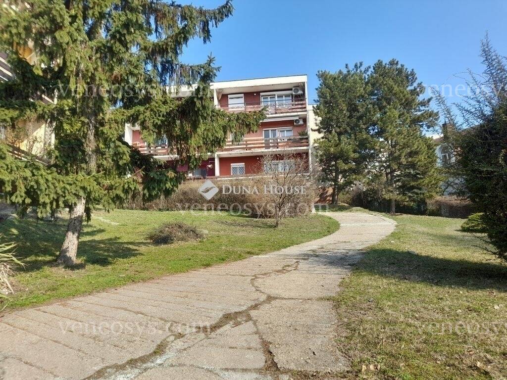 Kép 9