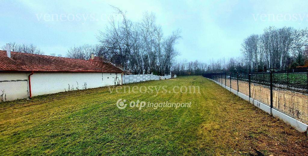Kép 5