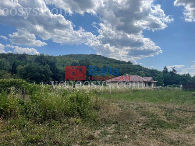Kép 4