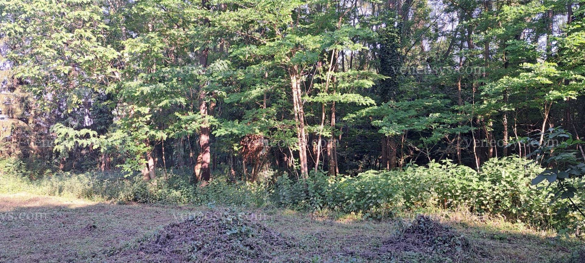 Kép 11
